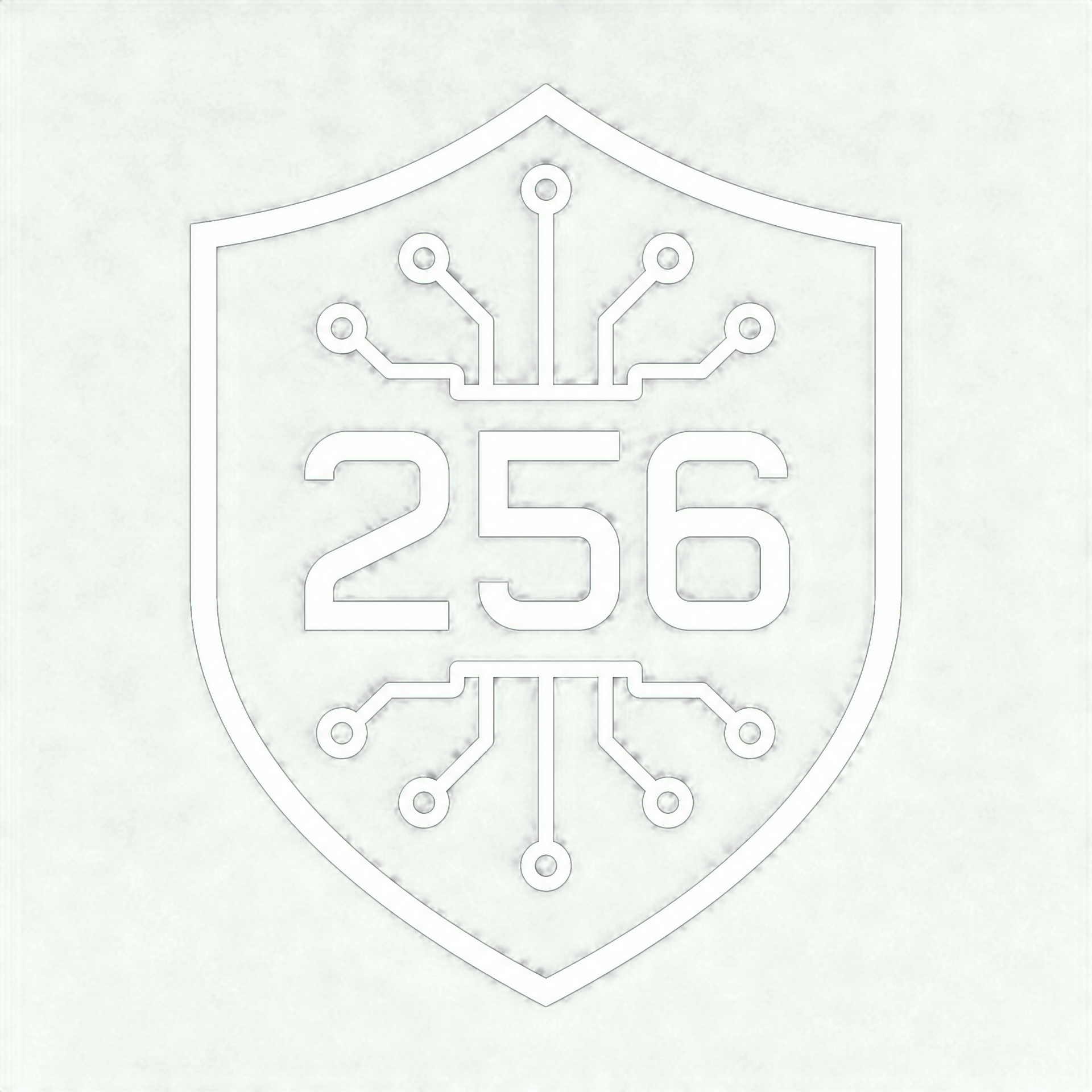 AES-256 Encrypted